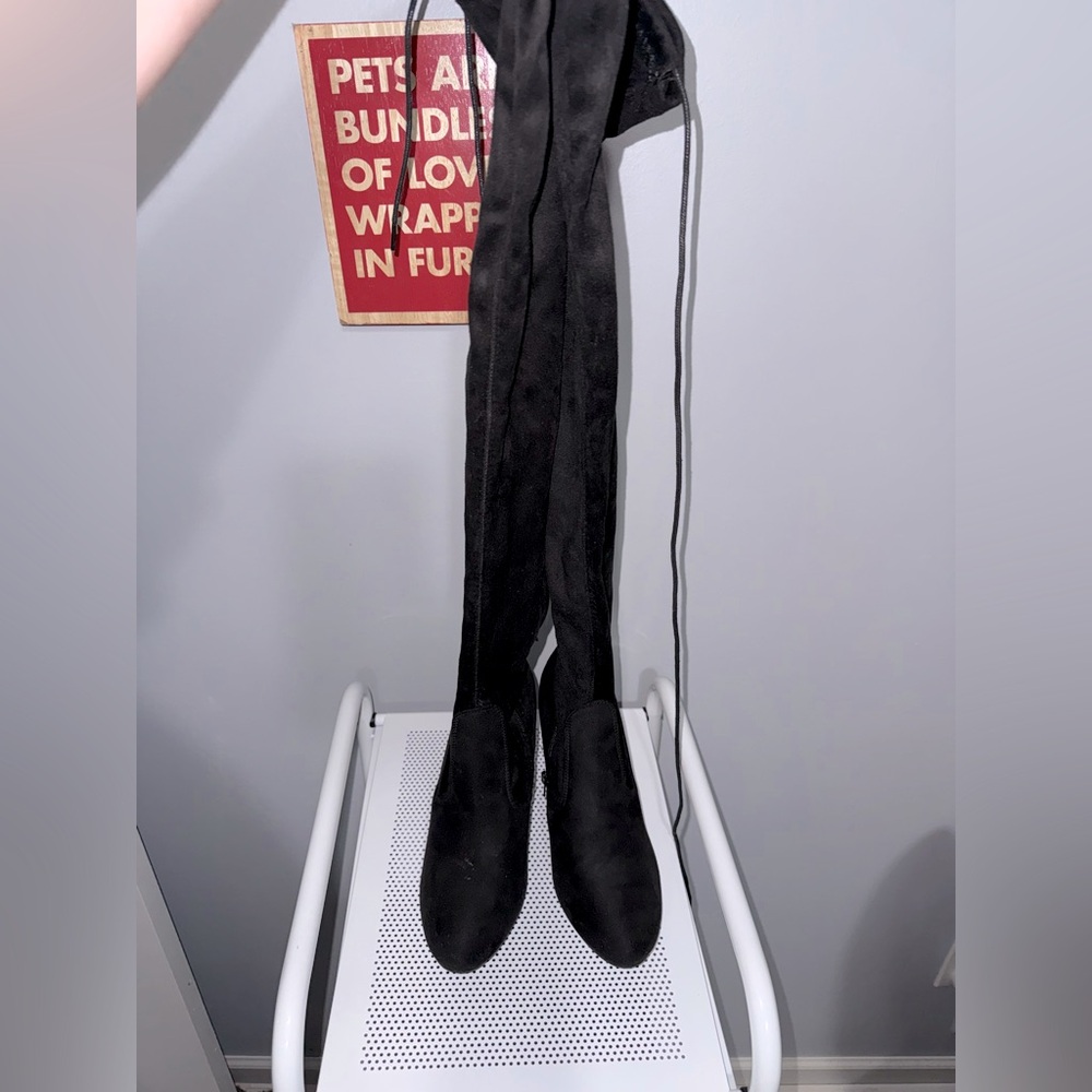 Thigh High suede boots